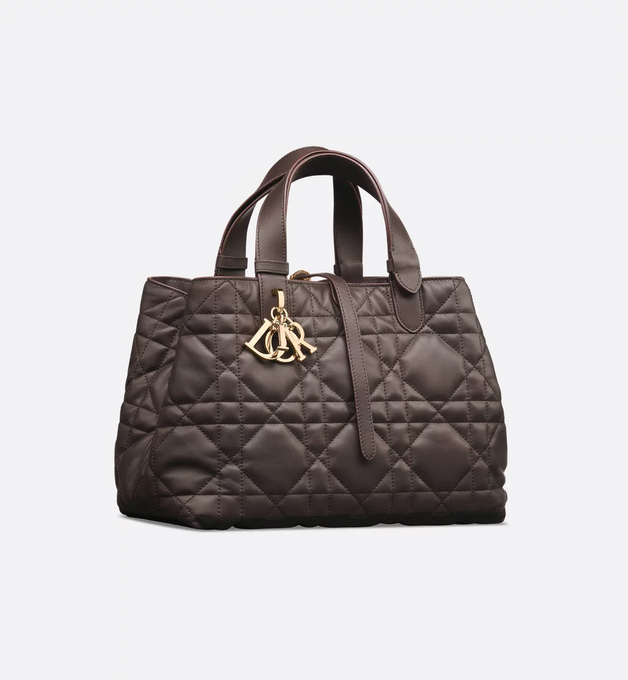 Bolsa Dior Toujours média